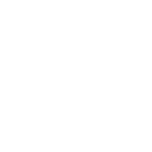 Copia de Copia de Logo-AC-Zona-T-BL